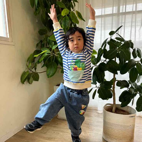 ベビー　プルオーバー（80～95cm・とあぴー）