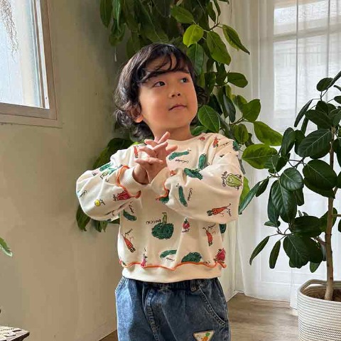 ベビー　プルオーバー（80～95cm・とあぴー）