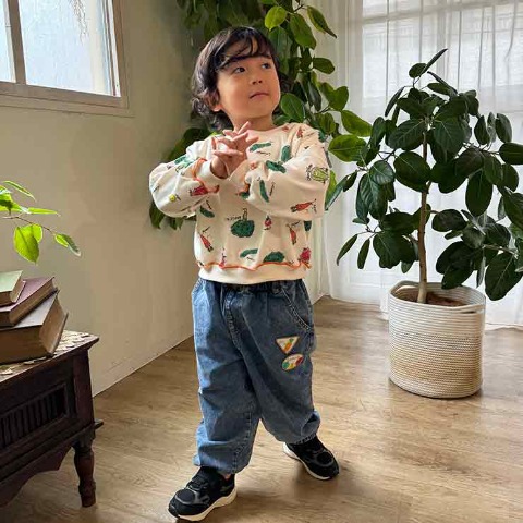 ベビー　プルオーバー（80～95cm・とあぴー）