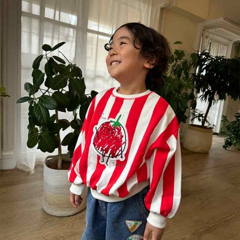 ベビー　プルオーバー（80～95cm・とあぴー）