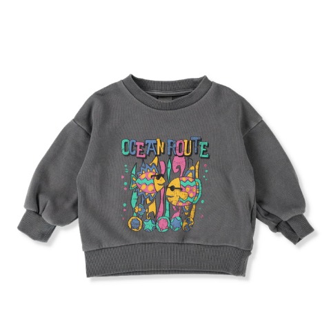 ベビー　トレーナー（80～95cm・leap）