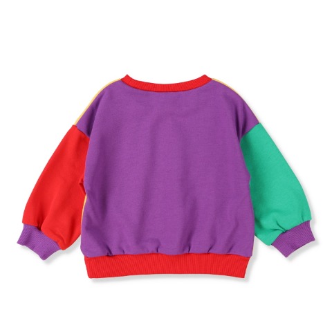 ベビー　トレーナー（80～95cm　Disney/leap）