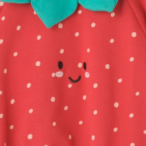 ベビー　プルオーバー（80～95cm・HugChumFriends）