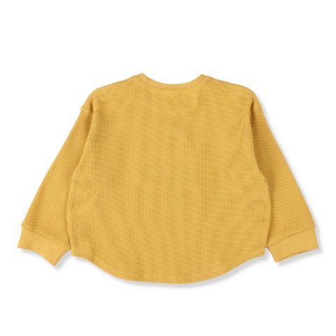 キッズ　長袖Ｔシャツ（100～120cm・Disney/Pixar）
