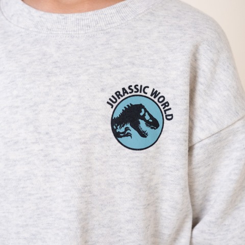 キッズ　長袖Tシャツ（100～120cm・MY LITTLE WONDER/ジュラシック）