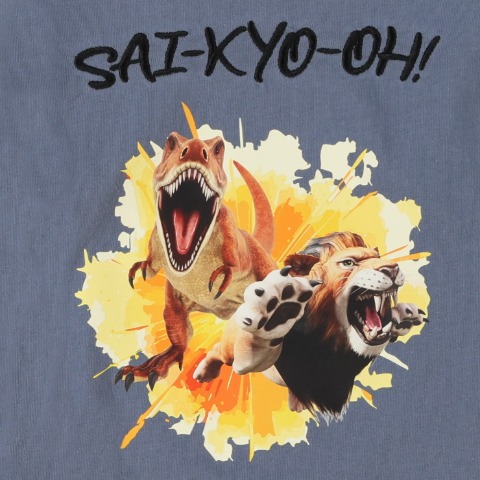 キッズ　長袖Tシャツ（100~120cm・最強王図鑑）