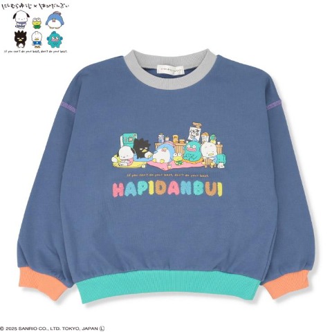 キッズ　プルオーバー（100・110cm・はぴだんぶい）