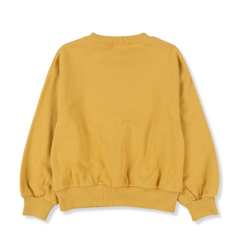 キッズ　プルオーバー（100～120cm・MYLITTLEWONDER）