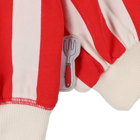 キッズ　プルオーバー（100～120cm・とあぴー）