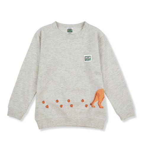 キッズ　プルオーバー（100cm～120cm・アニア）