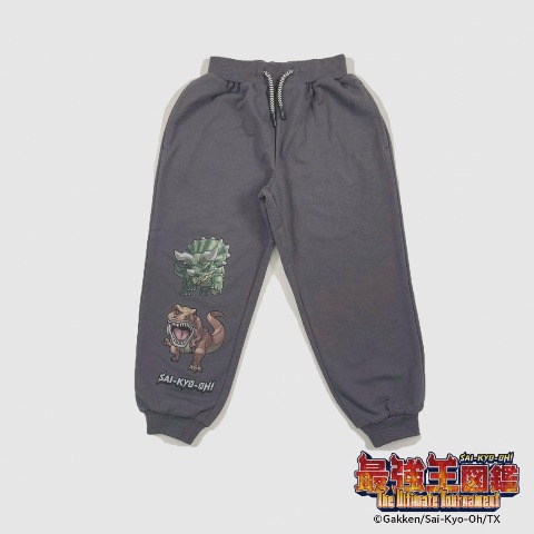 キッズ　ロングパンツ（100～120cm・最強王図鑑）