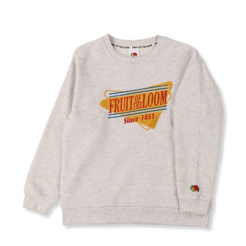 ジュニア　プルオーバー（130～150cm・FRUIT OF THE LOOM）