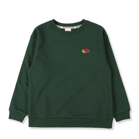 ジュニア　プルオーバー（130～150cm・FRUIT OF THE LOOM）