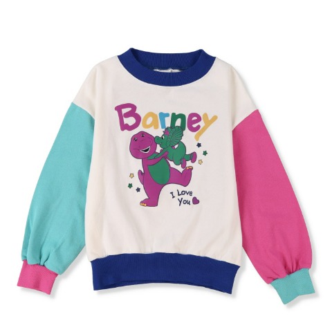 ジュニア　プルオーバー（130cm・Perky Zippy）