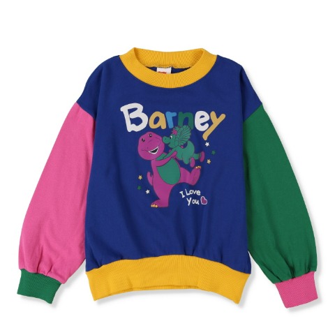 ジュニア　プルオーバー（130cm・Perky Zippy）