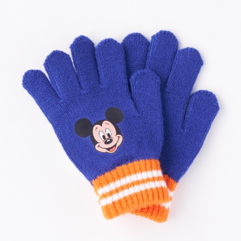 ハッピーバッグ（futafuta/Disney)