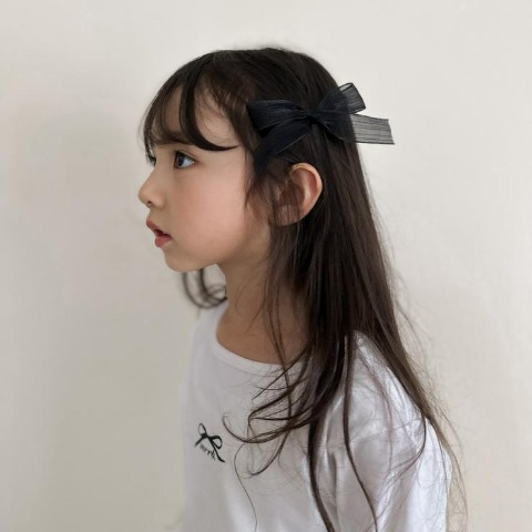ヘアクリップ　2点セット（mirror bae.）