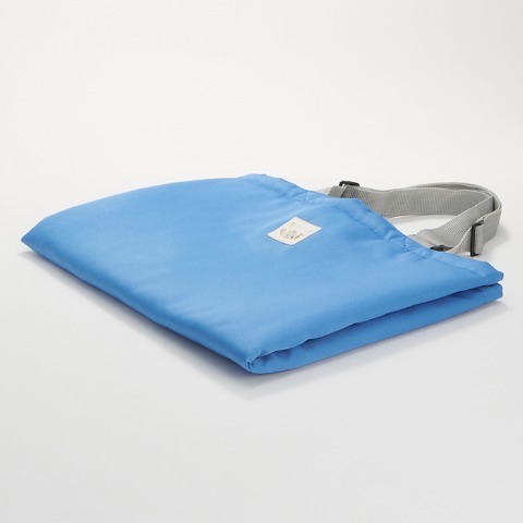 レッスンバック