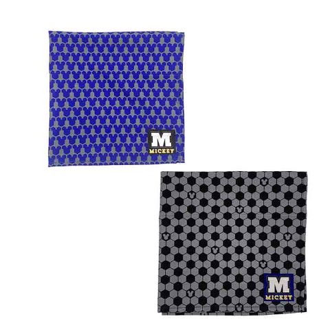 2枚組ランチクロス（Disney）