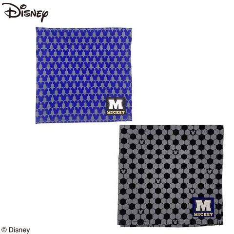 2枚組ランチクロス（Disney）