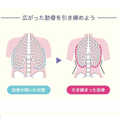 美ボディメイク肋骨ベルト（犬印）