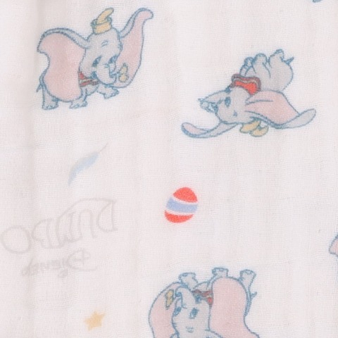 新生児　兼用ドレス（50～70cm・Disney）
