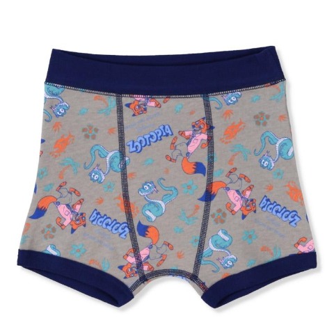 キッズ　2枚組ボクサーブリーフ（100～130cm　Disney）
