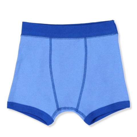 キッズ　2枚組ボクサーブリーフ（100～130cm　Disney）