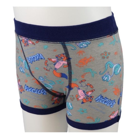 キッズ　2枚組ボクサーブリーフ（100～130cm　Disney）