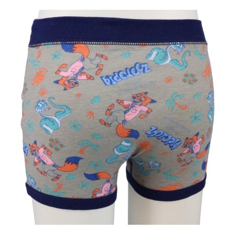 キッズ　2枚組ボクサーブリーフ（100～130cm　Disney）