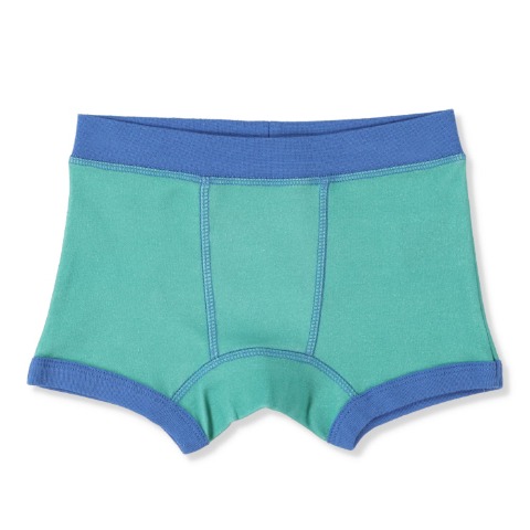 キッズ　ボクサーブリーフ（100～120cm　Disney）