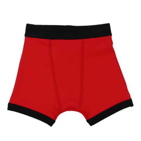 ボクサーブリーフ（110～120cm・仮面ライダー/田渕周平）