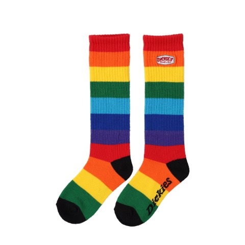ジュニア　ハイソックス（19～24cm　Dickies）