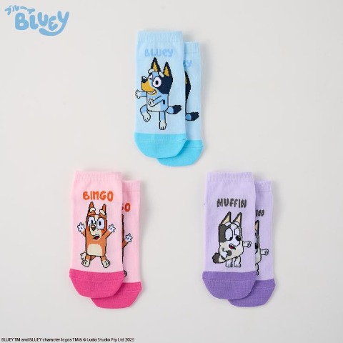 キッズ ３足組スニーカーインソックス(15～20cm BLUEY)