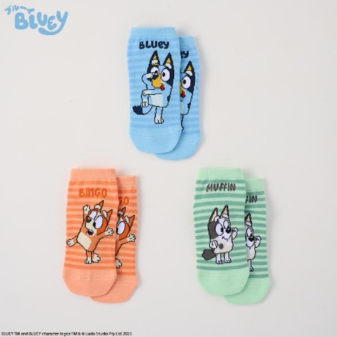 キッズ ３足組スニーカーインソックス(15～20cm BLUEY)