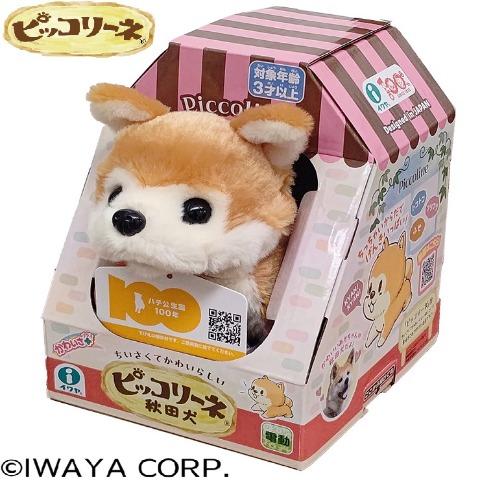 ピッコリーネ 秋田犬