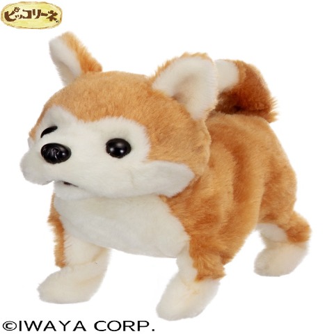 ピッコリーネ 秋田犬
