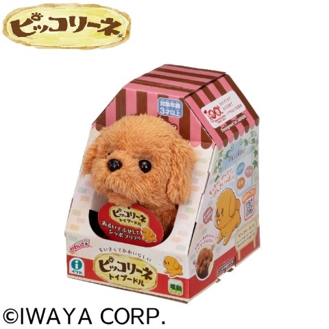 ピッコリーネ トイプードル