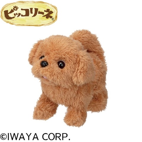 ピッコリーネ トイプードル
