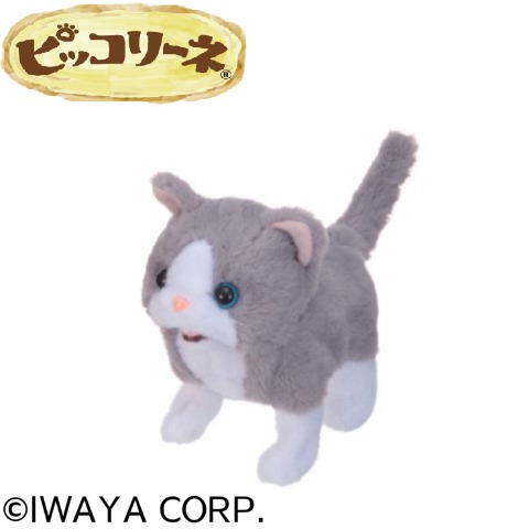 ピッコリーネ ブリティッシュ