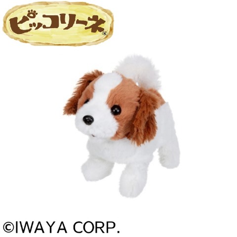 ピッコリーネ コイケル