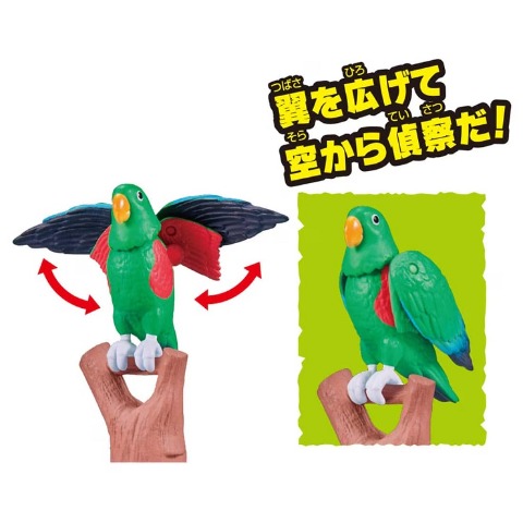 冒険大陸 アニアキングダム エディ(オオハナインコ)