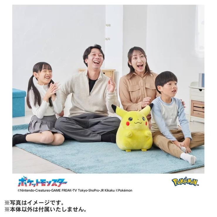 ポケモン30周年記念おかえり!ピカチュウ1/1 バースデーカード付き ポケットモンスター ポケモン30周年記念 おかえり!ピカチュウ1/1