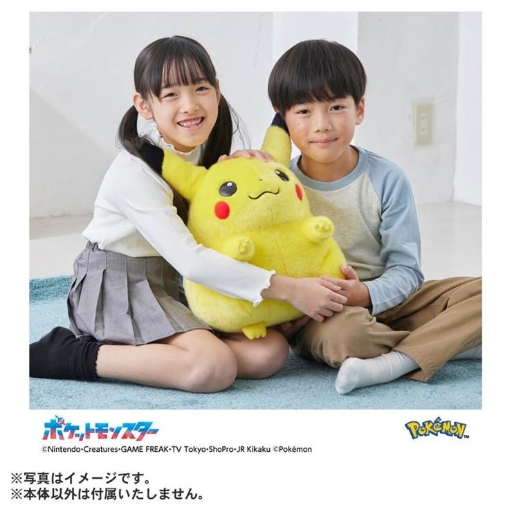 ポケモン30周年記念おかえり!ピカチュウ1/1 バースデーカード付き ポケモン30周年記念 おかえり！ピカチュウ1/1｜ポケットモンスター