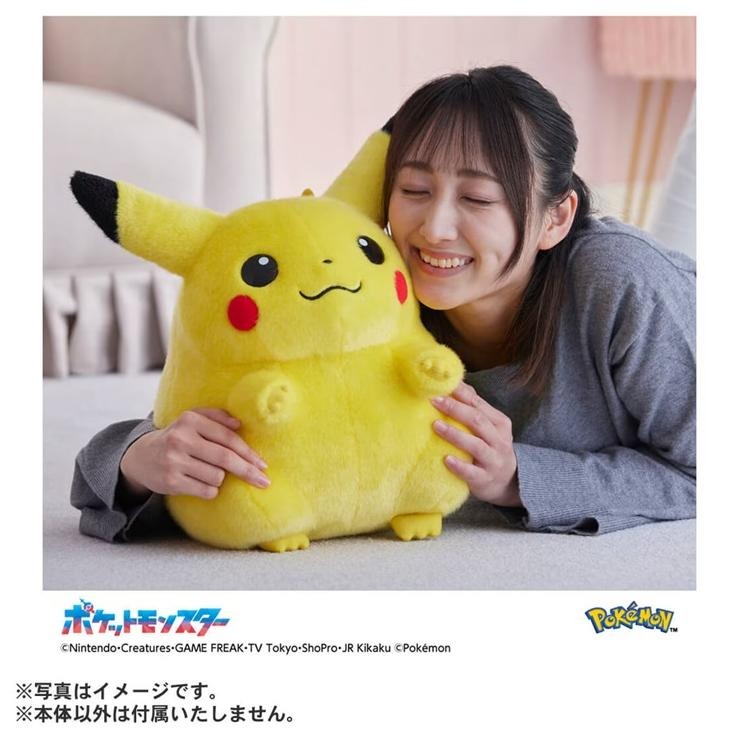 ポケットモンスター ポケモン30周年記念 おかえり!ピカチュウ1/1
