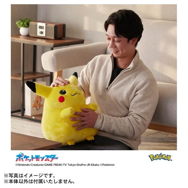 ポケットモンスター ポケモン30周年記念 おかえり!ピカチュウ1/1
