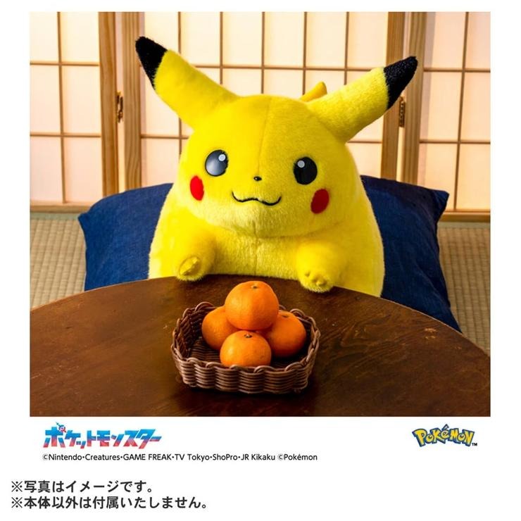 ポケモン30周年記念おかえり!ピカチュウ1/1 バースデーカード付き ポケットモンスター ポケモン30周年記念 おかえり!ピカチュウ1/1