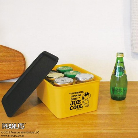 スヌーピー 　コレクトBOX（S）