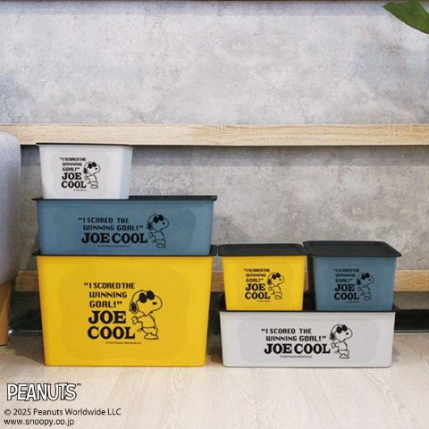 スヌーピー 　コレクトBOX（S）