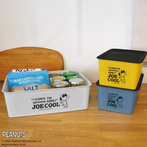 スヌーピー 　コレクトBOX（S）